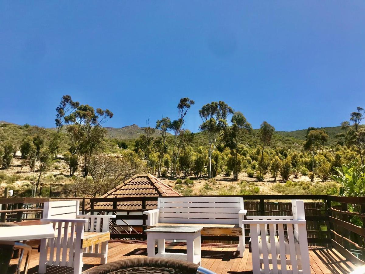 Mountain View Eco Lodge Montagu Eksteriør bilde