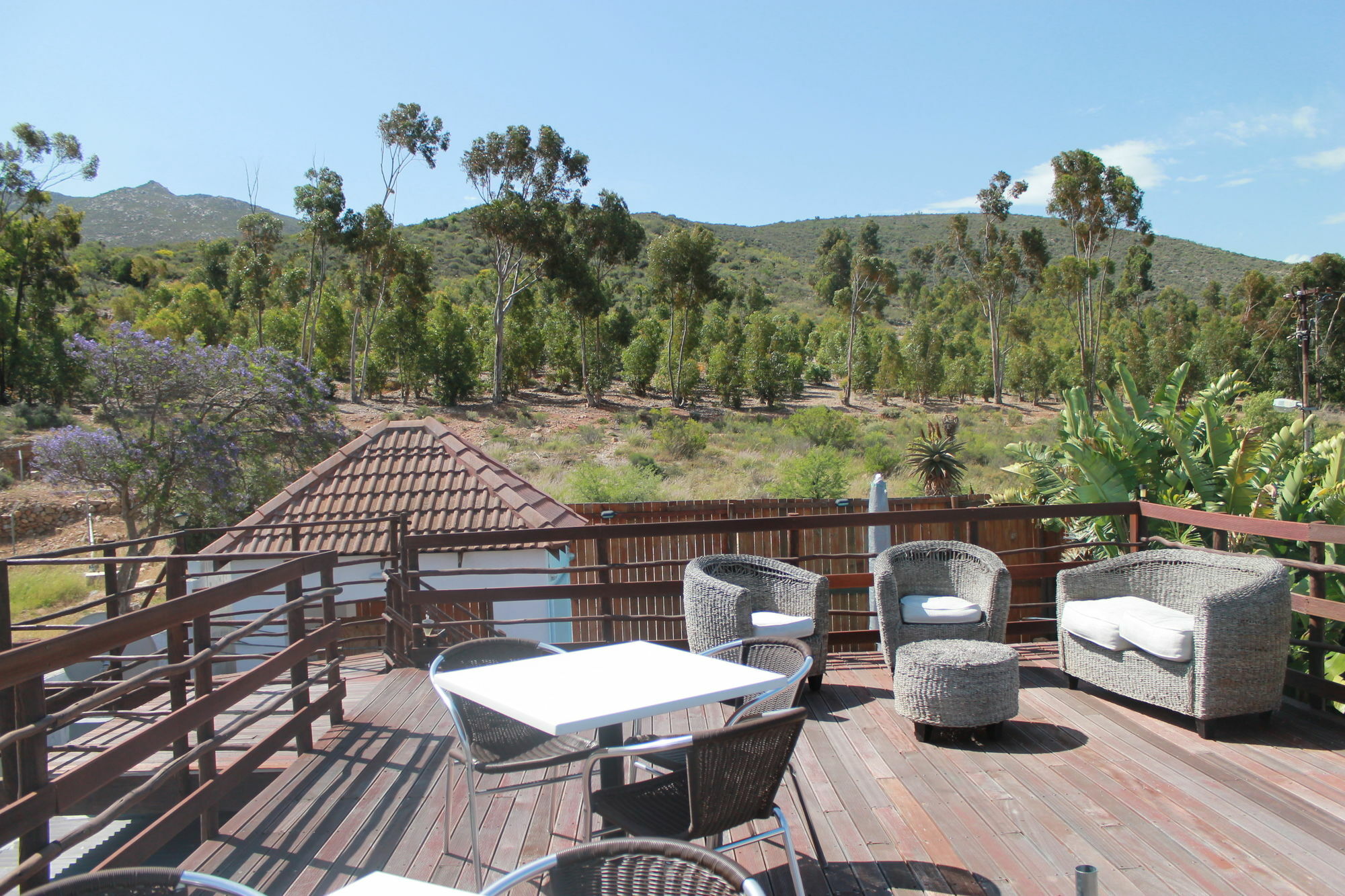 Mountain View Eco Lodge Montagu Eksteriør bilde